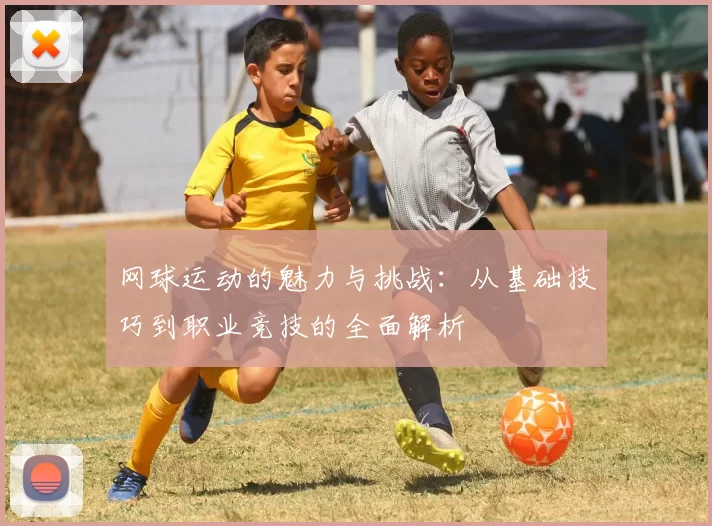 网球运动的魅力与挑战：从基础技巧到职业竞技的全面解析