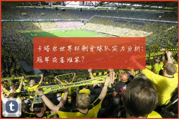 卡塔尔世界杯剩余球队实力分析:冠军花落谁家?