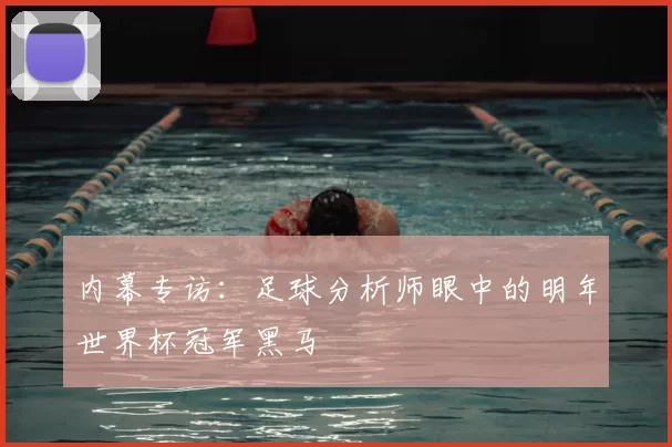 内幕专访:足球分析师眼中的明年世界杯冠军黑马