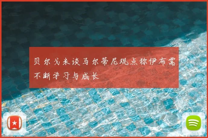 贝尔戈米谈马尔蒂尼观点称伊布需不断学习与成长