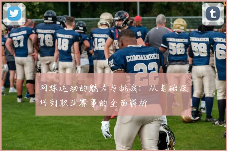 网球运动的魅力与挑战：从基础技巧到职业赛事的全面解析