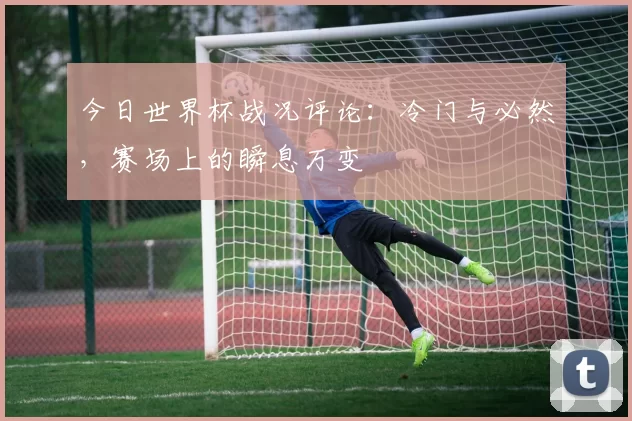 今日世界杯战况评论:冷门与必然,赛场上的瞬息万变