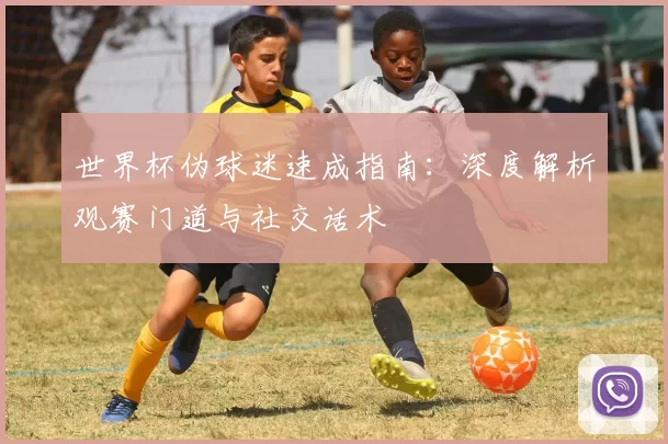 世界杯伪球迷速成指南:深度解析观赛门道与社交话术