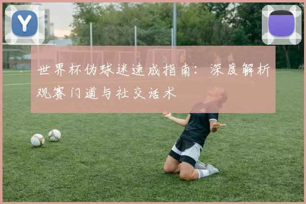 世界杯伪球迷速成指南：深度解析观赛门道与社交话术