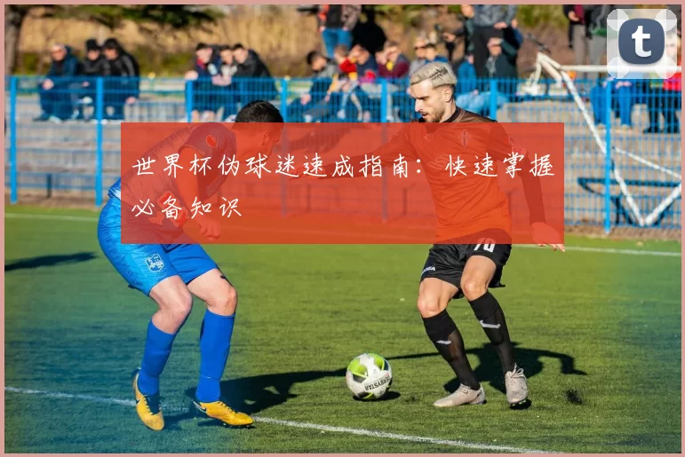 世界杯伪球迷速成指南:快速掌握必备知识