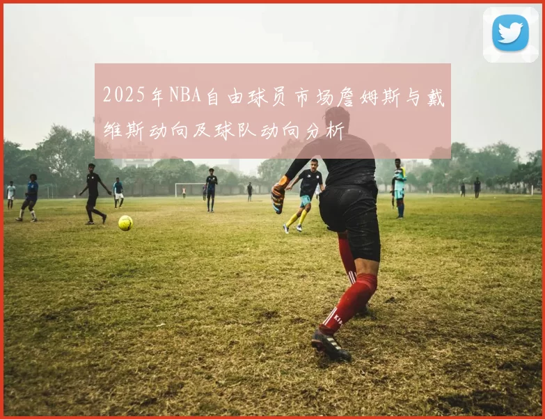 2025年NBA自由球员市场詹姆斯与戴维斯动向及球队动向分析