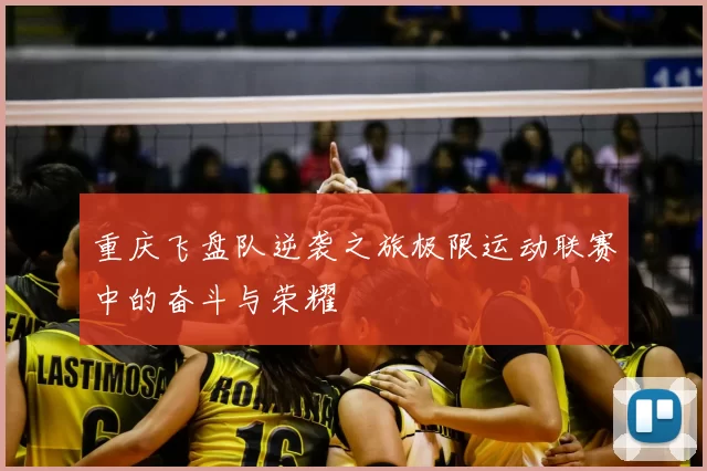 重庆飞盘队逆袭之旅极限运动联赛中的奋斗与荣耀