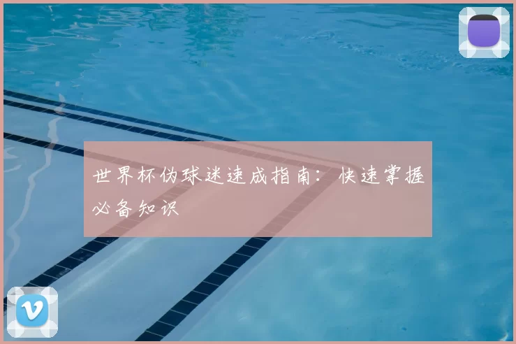 世界杯伪球迷速成指南:快速掌握必备知识