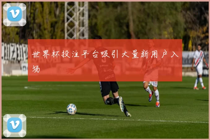 世界杯投注平台吸引大量新用户入场