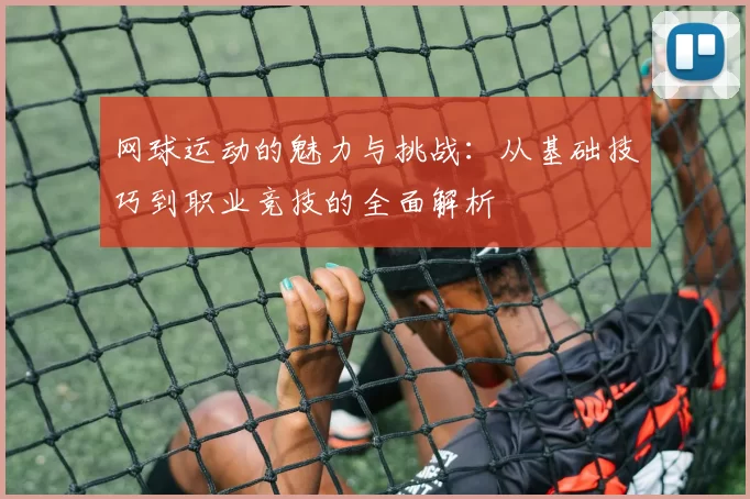 网球运动的魅力与挑战：从基础技巧到职业竞技的全面解析