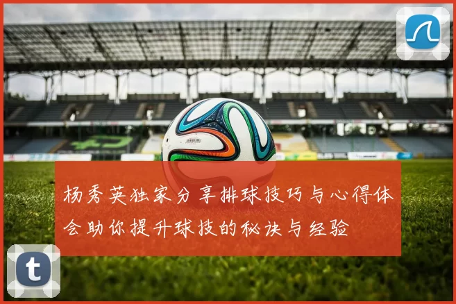 杨秀英独家分享排球技巧与心得体会助你提升球技的秘诀与经验