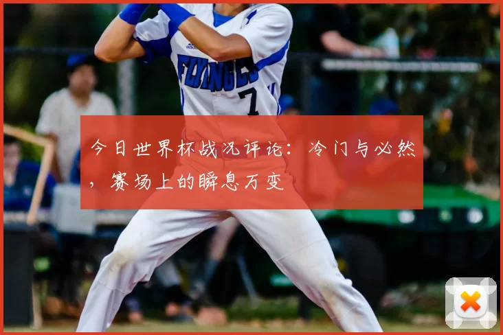 今日世界杯战况评论:冷门与必然,赛场上的瞬息万变