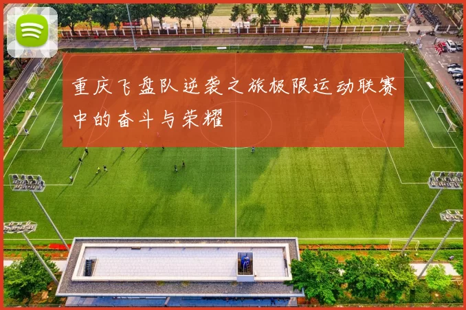 重庆飞盘队逆袭之旅极限运动联赛中的奋斗与荣耀